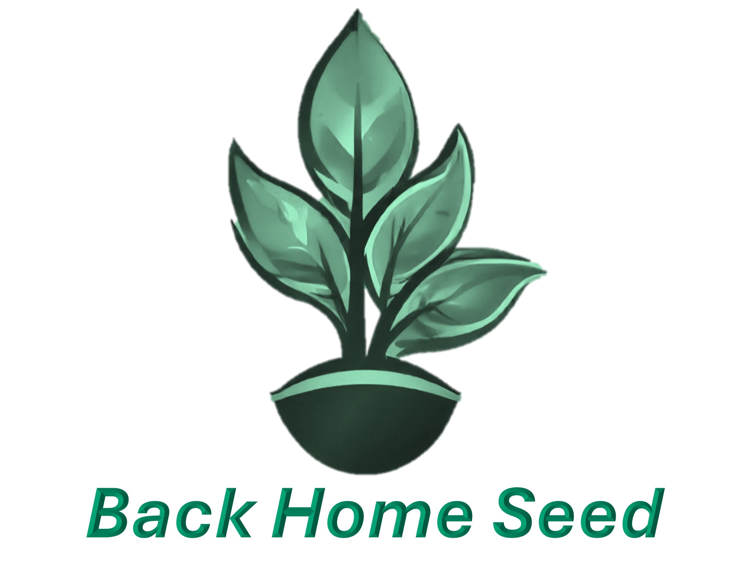 Back Home Seed
