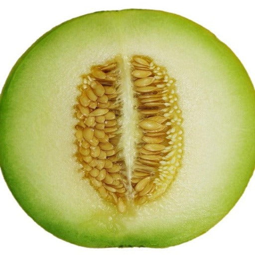 Melon – Honeydew – Green Flesh